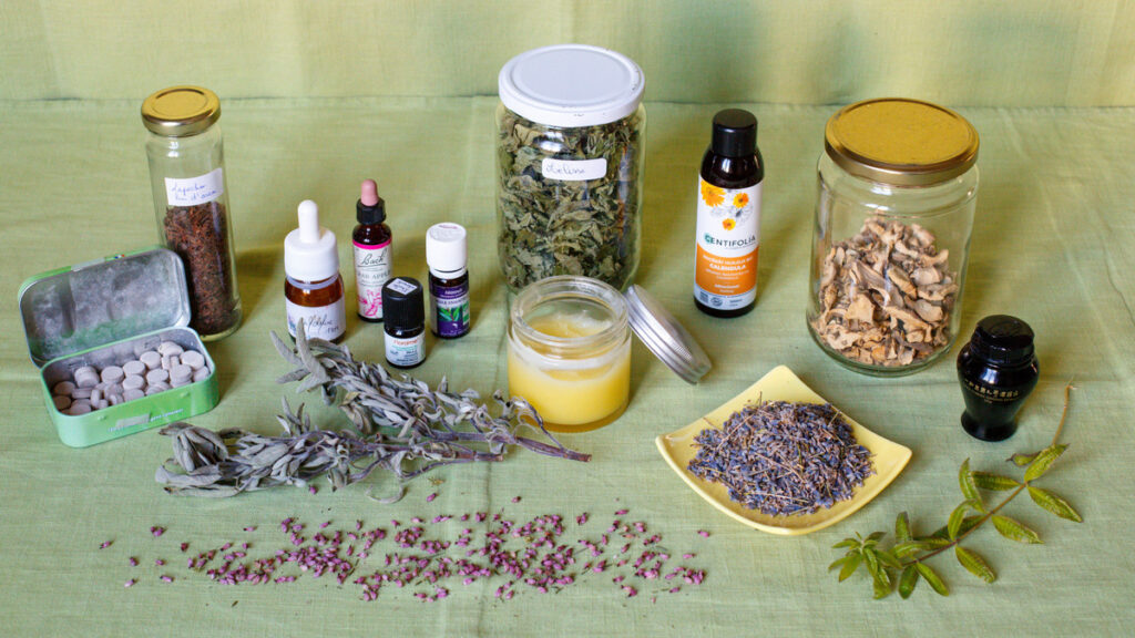 Herboristerie Grenoble -rendez-vous et enseignements sur les plantes médicinales - ateliers et stages de plantes médicinales Grenoble